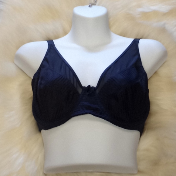Curve Muse Satin & Mesh Striped Bra - Picture 9 of 16
